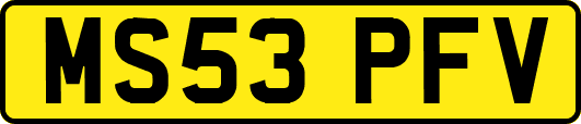 MS53PFV
