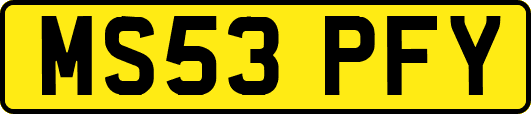 MS53PFY