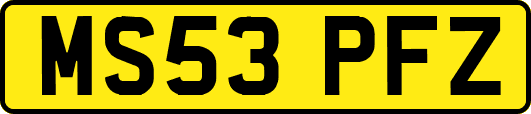 MS53PFZ