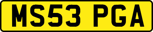 MS53PGA
