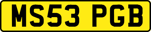 MS53PGB