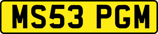 MS53PGM