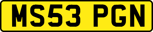 MS53PGN
