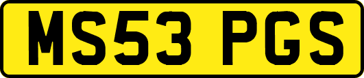 MS53PGS