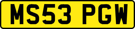 MS53PGW