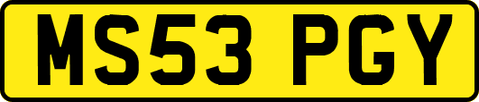 MS53PGY