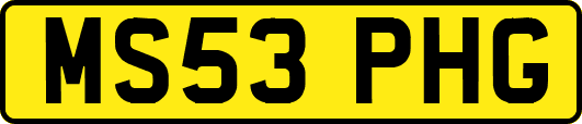 MS53PHG