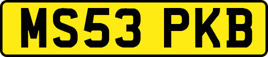 MS53PKB