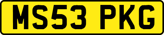 MS53PKG