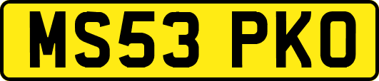 MS53PKO