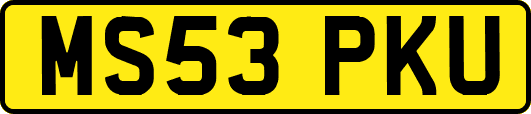 MS53PKU