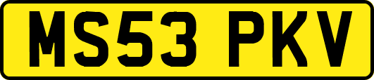 MS53PKV