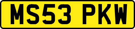 MS53PKW