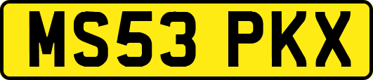 MS53PKX