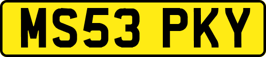 MS53PKY
