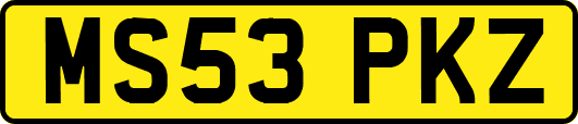 MS53PKZ