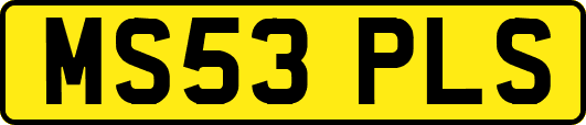 MS53PLS
