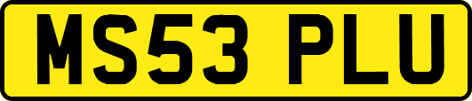 MS53PLU