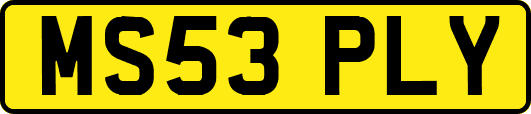 MS53PLY