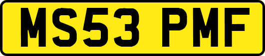 MS53PMF