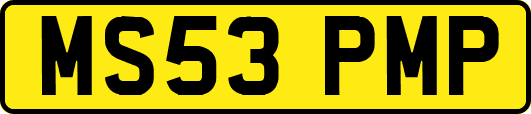 MS53PMP