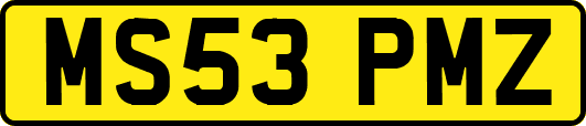 MS53PMZ