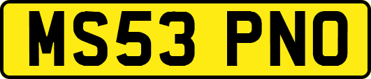 MS53PNO