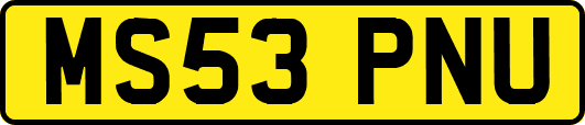 MS53PNU