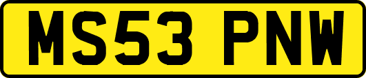 MS53PNW