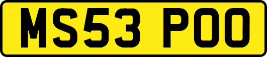 MS53POO