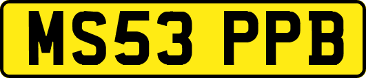MS53PPB