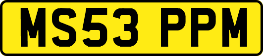 MS53PPM