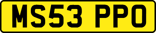 MS53PPO