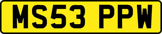 MS53PPW