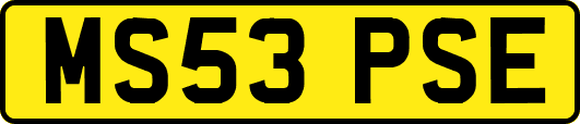 MS53PSE