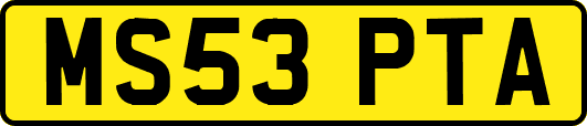 MS53PTA