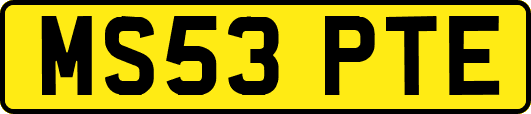 MS53PTE