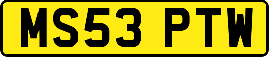 MS53PTW