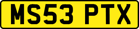 MS53PTX