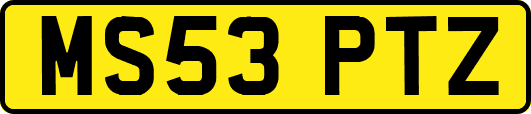 MS53PTZ