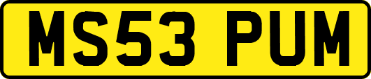 MS53PUM