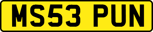 MS53PUN