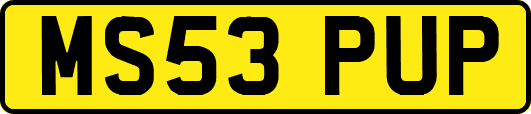 MS53PUP