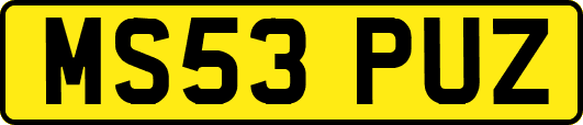 MS53PUZ