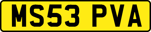 MS53PVA