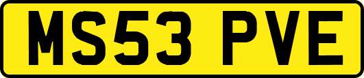 MS53PVE
