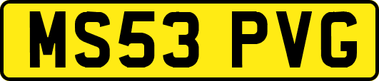 MS53PVG