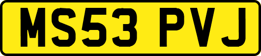 MS53PVJ