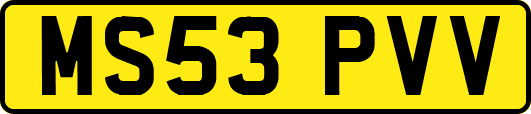 MS53PVV