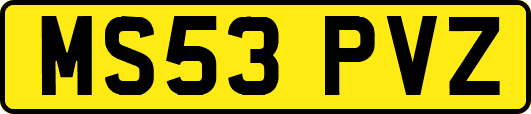 MS53PVZ